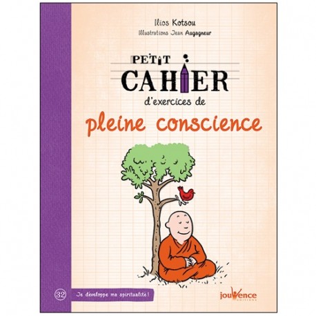 Petit cahier d'exercices de pleine conscience - Ilios Kotsou