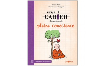 Petit cahier d'exercices de pleine conscience - Ilios Kotsou