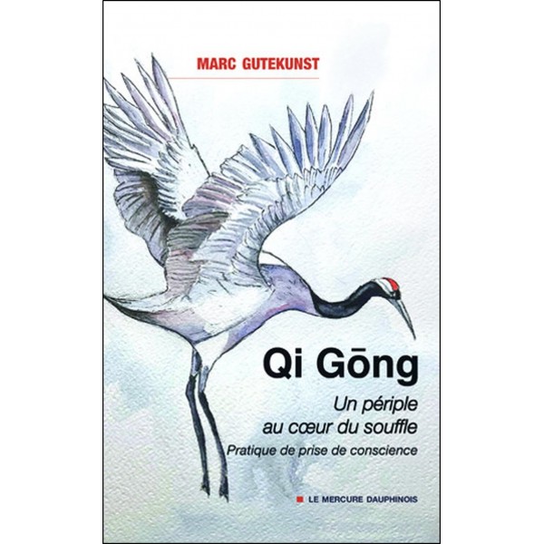 Qi Gong, Un périple au coeur du souffle, Pratique de prise de conscience - Marc Gutekunst