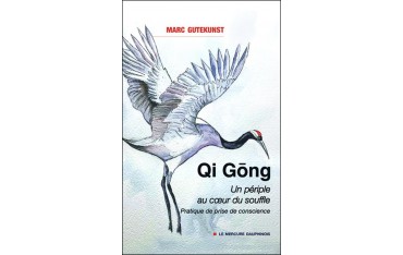 Qi Gong, Un périple au coeur du souffle, Pratique de prise de conscience - Marc Gutekunst